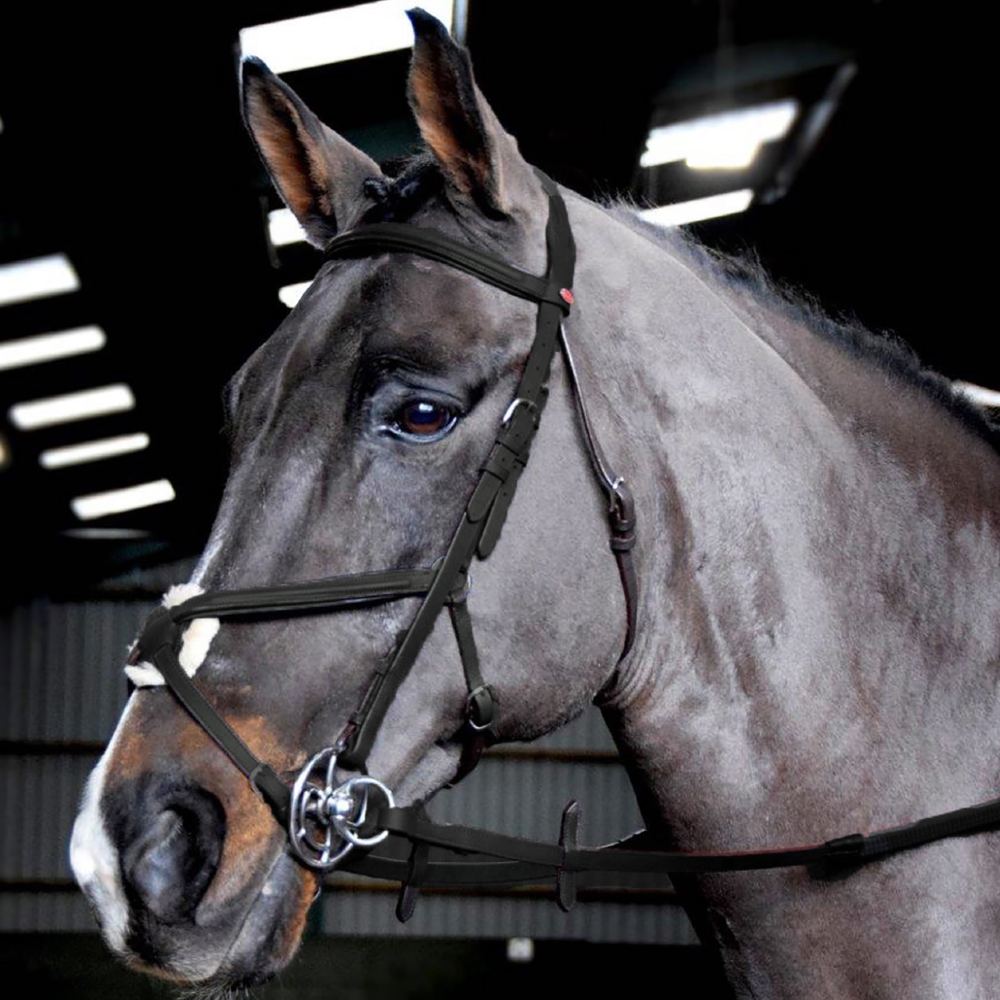 Whitaker Ready To Ride Mexican Bridle | Two Colours In Black