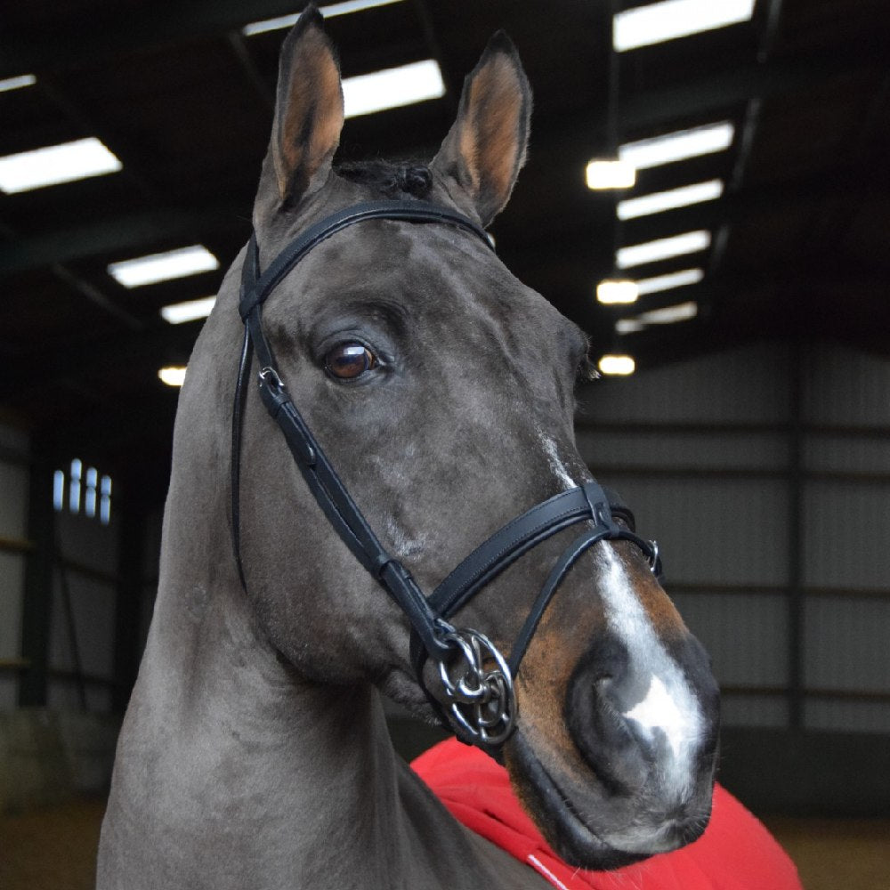 John Whitaker Ready To Ride Snaffle Bridle in Black