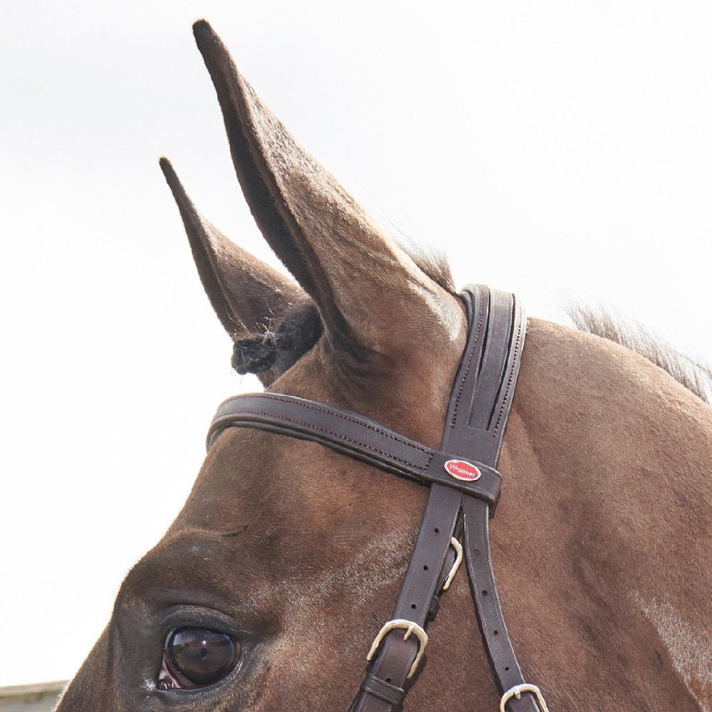 John Whitaker Ready To Ride Snaffle Bridle in Brown