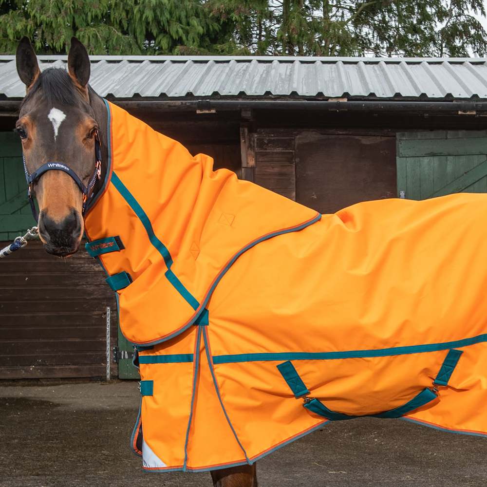 Whitaker Seacroft Combo 200g Turnout Rug In Reflective Orange