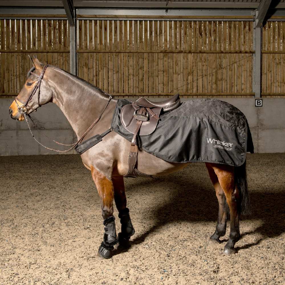 John Whitaker Sydney Reflective Exercise Sheet in Black Camouflge