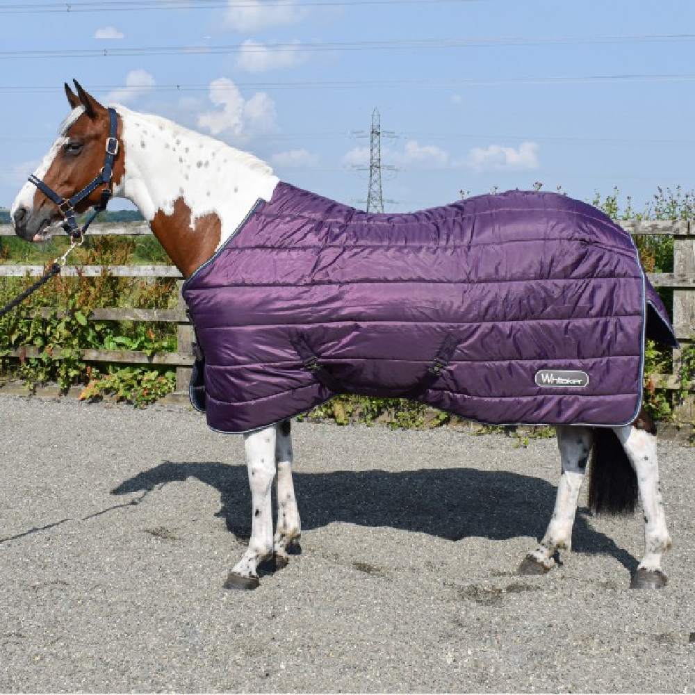 John Whitaker Thistle 200g Stable Rug in Plum