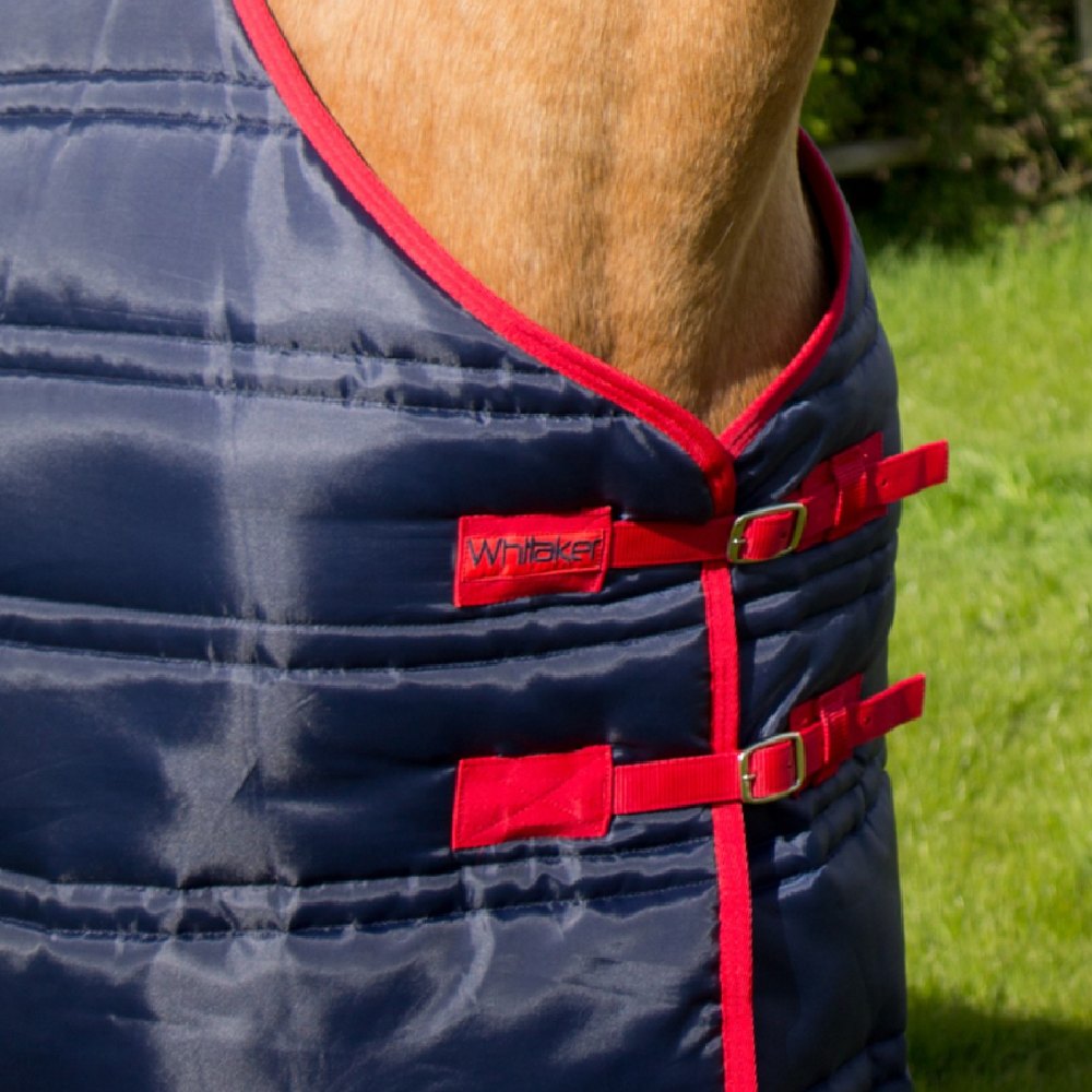 John Whitaker Thomas 250g Stable Rug in Navy/Red