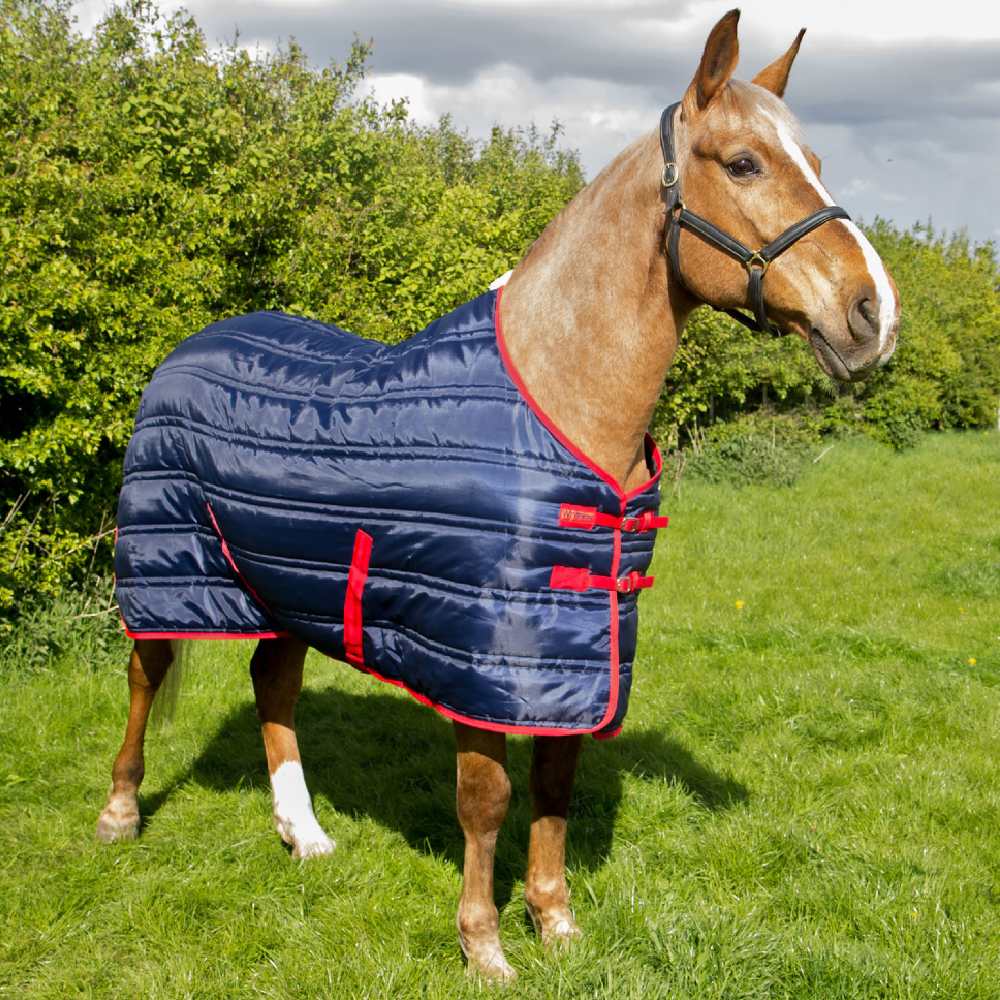 John Whitaker Thomas 250g Stable Rug in Navy/Red