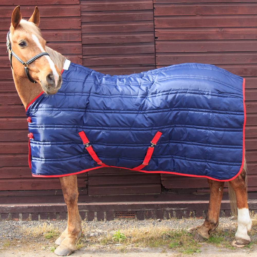 John Whitaker Thomas 250g Stable Rug in Navy/Red