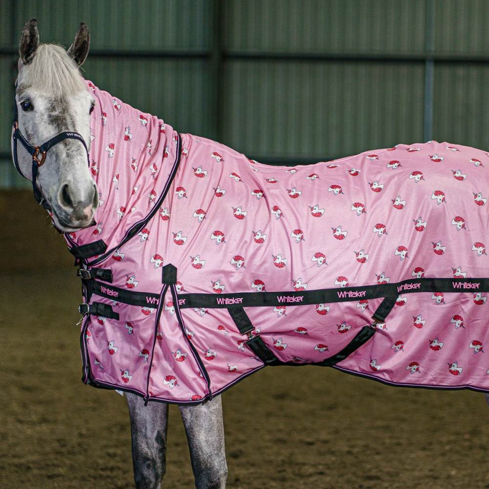 Whitaker Unicorn Fly Mesh Rug In Pink