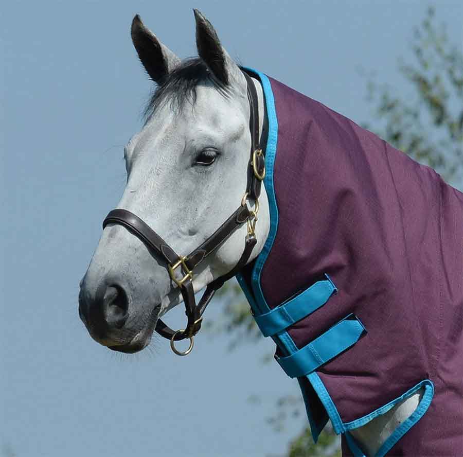 Weatherbeeta Horse Rugs