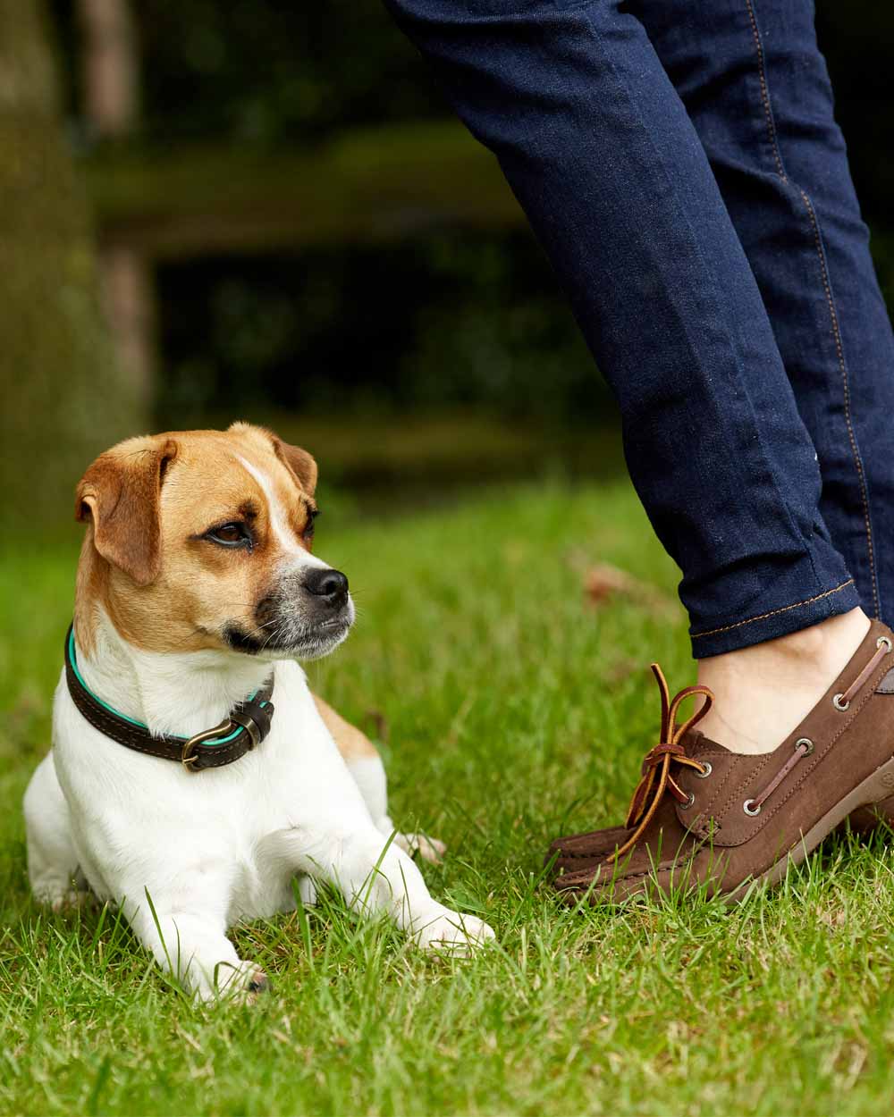 Chocolate Brown coloured Ariat Womens Antigua Boat Shoes on Grassy background 