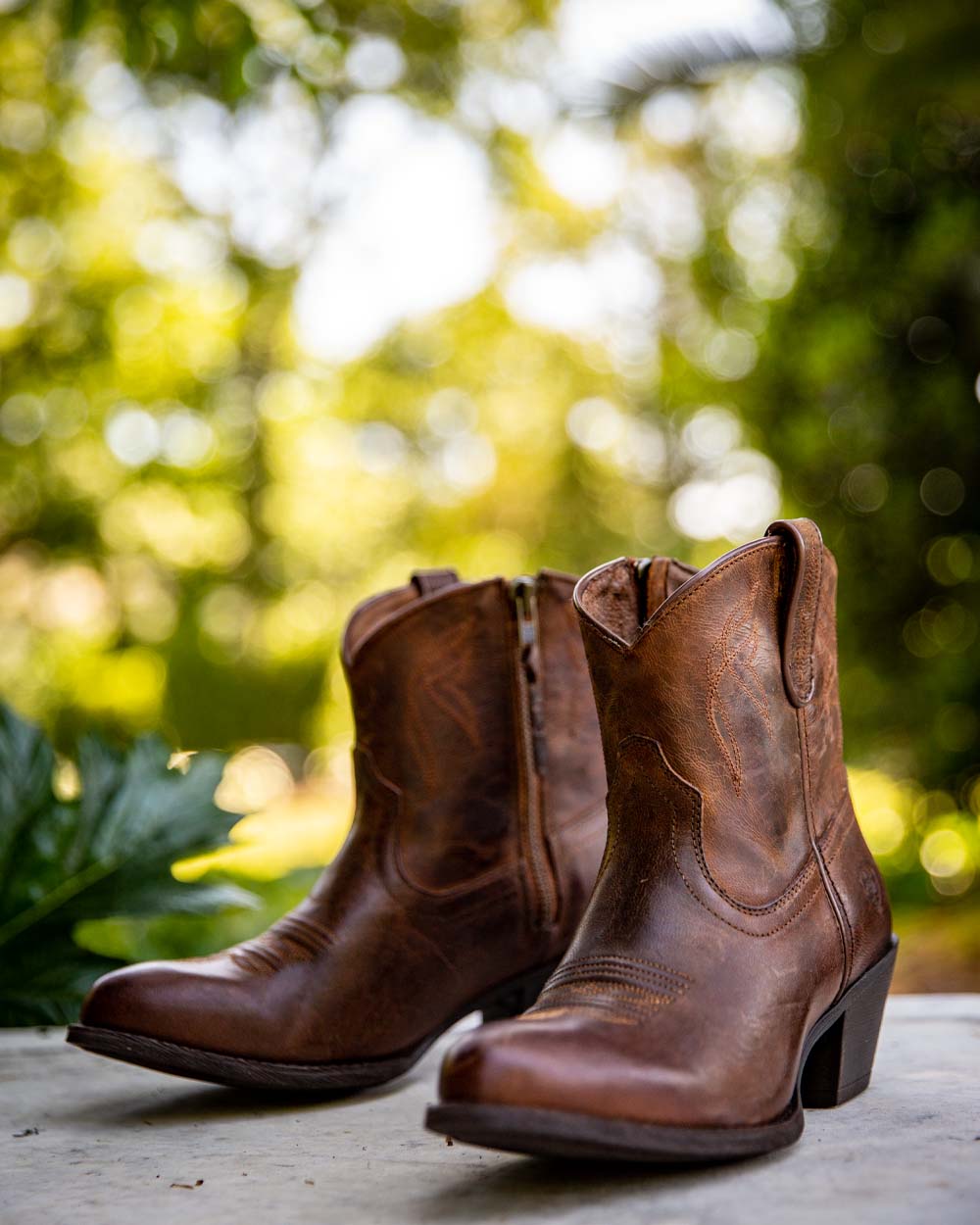 Sassy Brown coloured Ariat Womens Darlin Western Boot on Blurry Forest background 