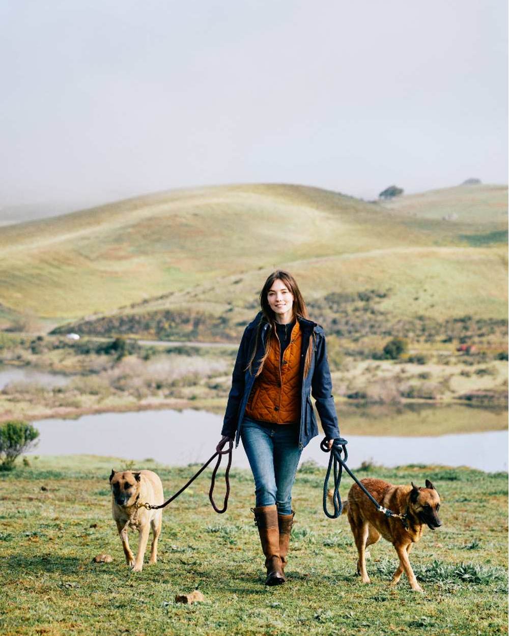 Ariat Womens Moresby Tall H20 Java Country Boot