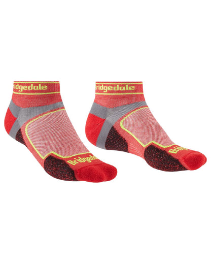 Red Coloured Bridgedale Mens Ultra Light T2 Coolmax Sport Low on White Background
