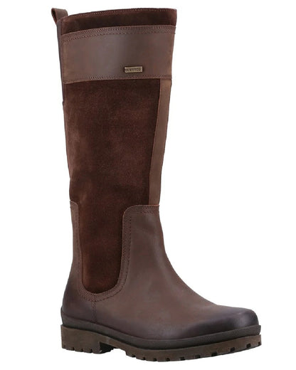 Brown coloured Cotswold Painswick Boots on white background 