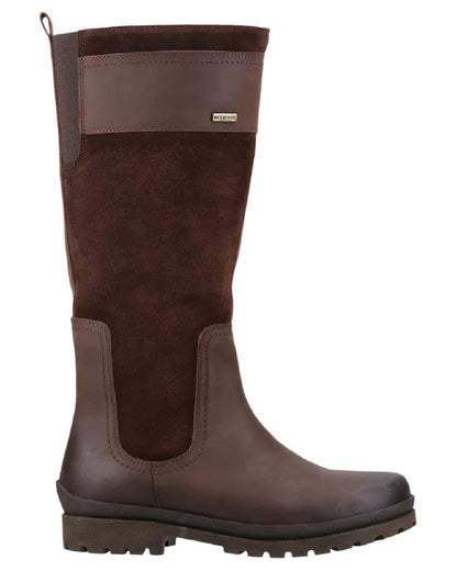 Brown coloured Cotswold Painswick Boots on white background 