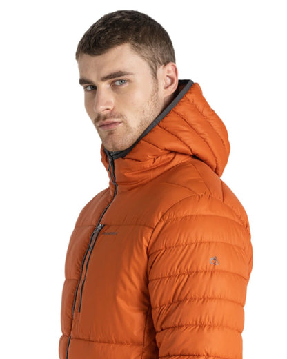 Potters Clay Coloured Craghoppers Mens Compresslite VIII Hooded Jacket On A White Background 