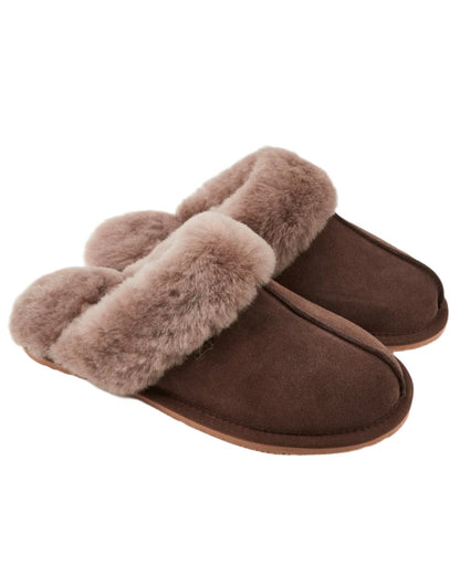 Cigar Coloured Dubarry Rockmill Slip On Slippers On A White Background 