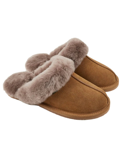 Sand Coloured Dubarry Rockmill Slip On Slippers On A White Background 