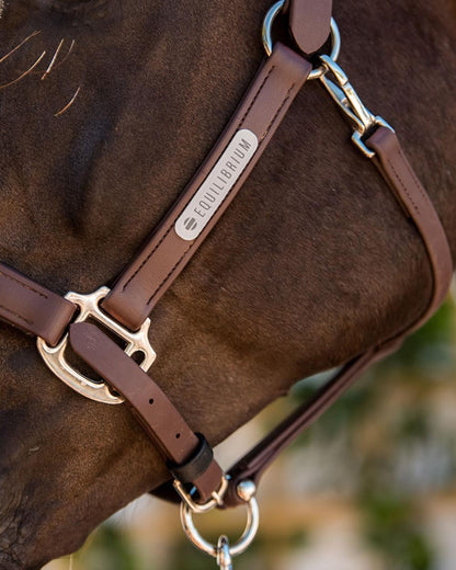 Brown Coloured Equilibrium Stellar Headcollar On A Stable Background 