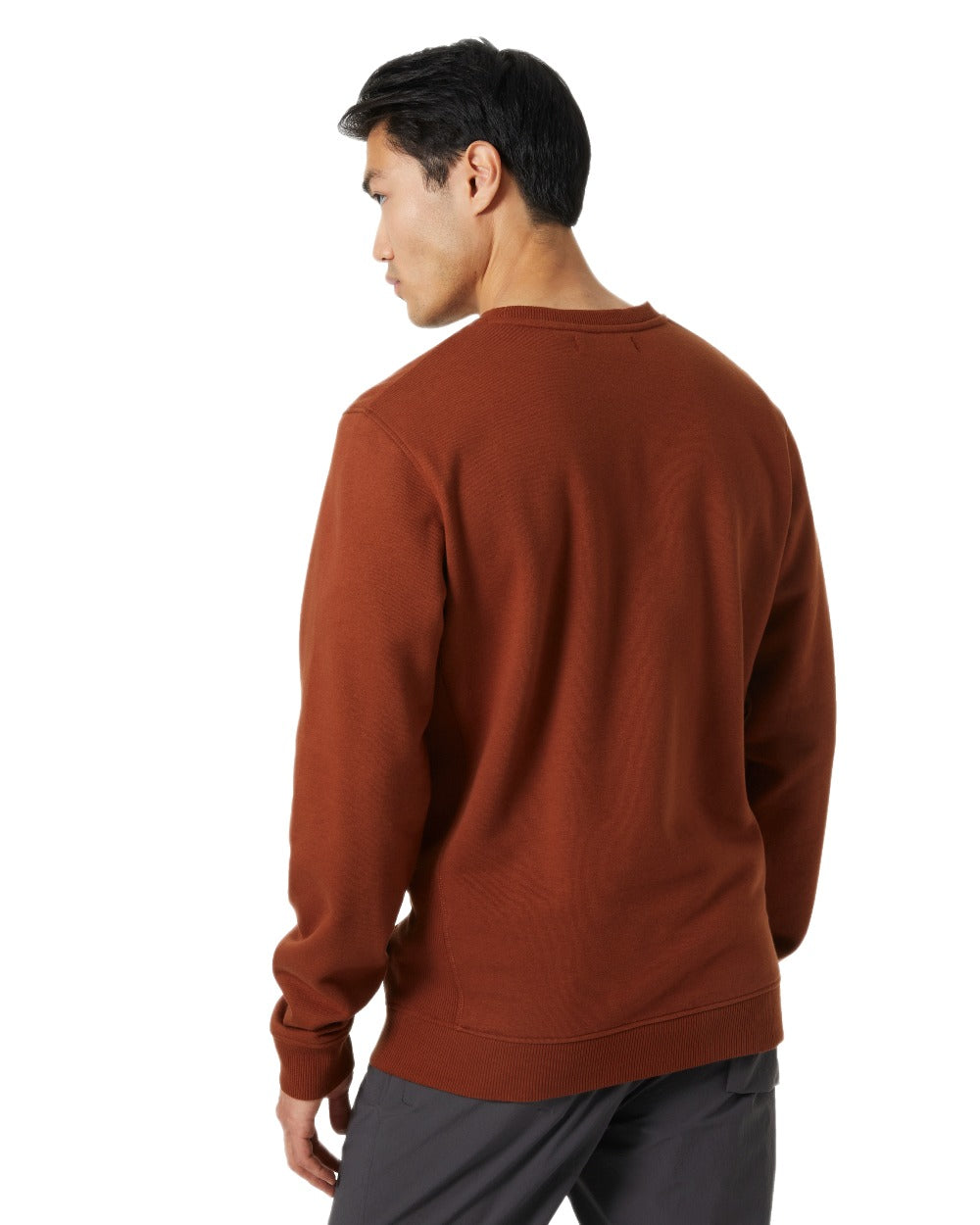 Iron Oxide Coloured Helly Hansen F2F Organic Cotton Sweater on White Background
