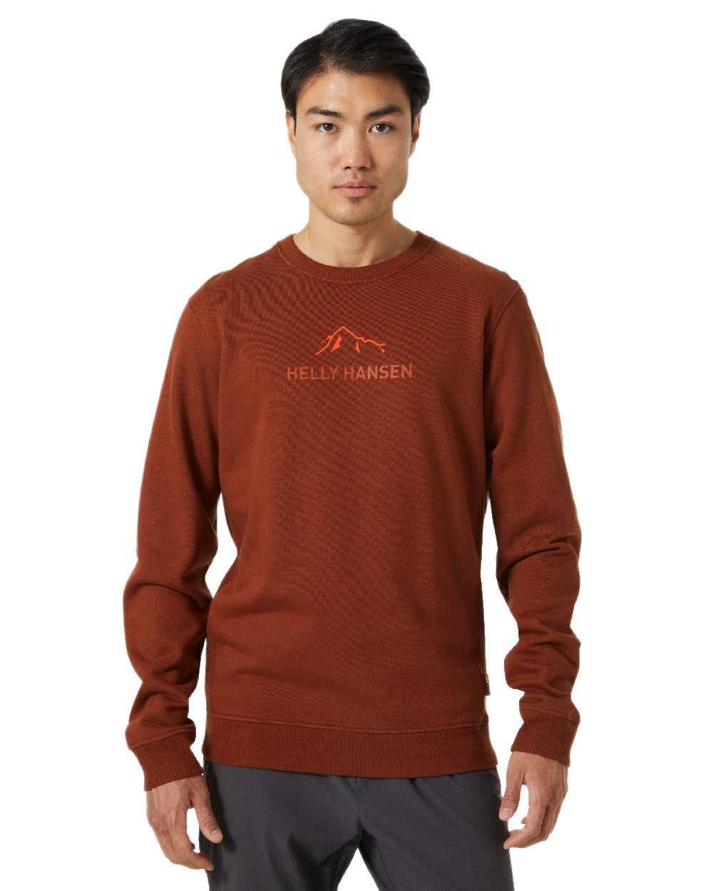 Iron Oxide Coloured Helly Hansen F2F Organic Cotton Sweater on White Background
