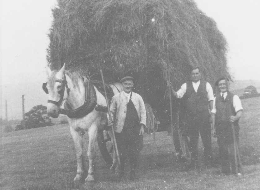 Hollands Making Hay on the Farm at Disley Hall Farm