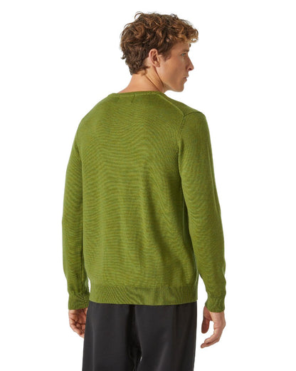 Olive Green coloured Helly Hansen Mens Shore Merino Sweater on White Background 