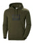 Utility Green coloured Helly Hansen Box Hoodie on White background #colour_utility-green