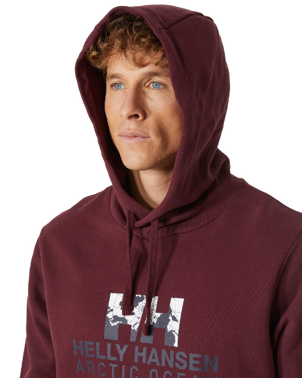 Hickory coloured Helly Hansen Mens Arctic Ocean Hoodie on white background 