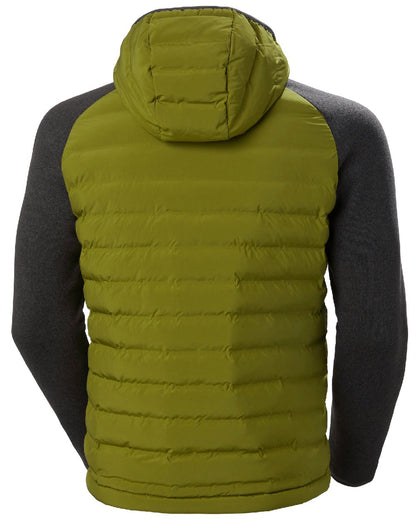 Olive Green coloured Helly Hansen Mens Arctic Ocean Hybrid Insulator Jacket on white background 