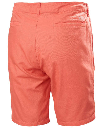 Peach Echo coloured Helly Hansen Mens Dock Shorts on white background 