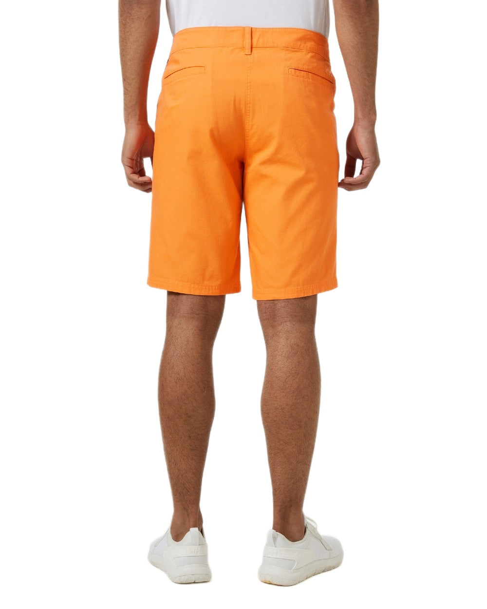 Poppy Orange coloured Helly Hansen Mens Dock Shorts on white background 