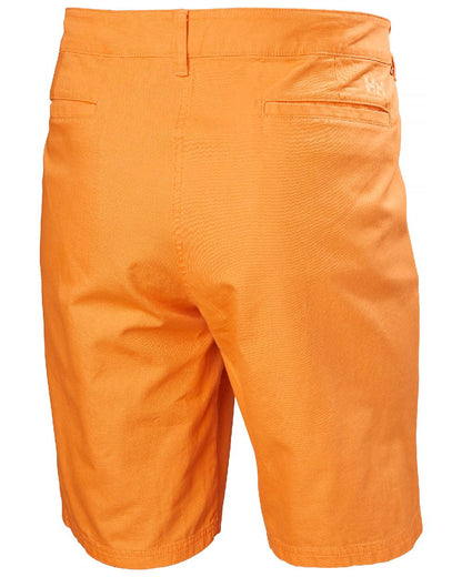 Poppy Orange coloured Helly Hansen Mens Dock Shorts on white background 
