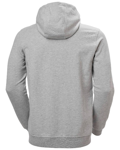 Grey Melange coloured Helly Hansen Mens Full Zip Logo Hoodie on white background 