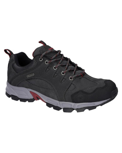 Grey Coloured Hi-Tec Mens Auckland Lite Shoes On A White Background 