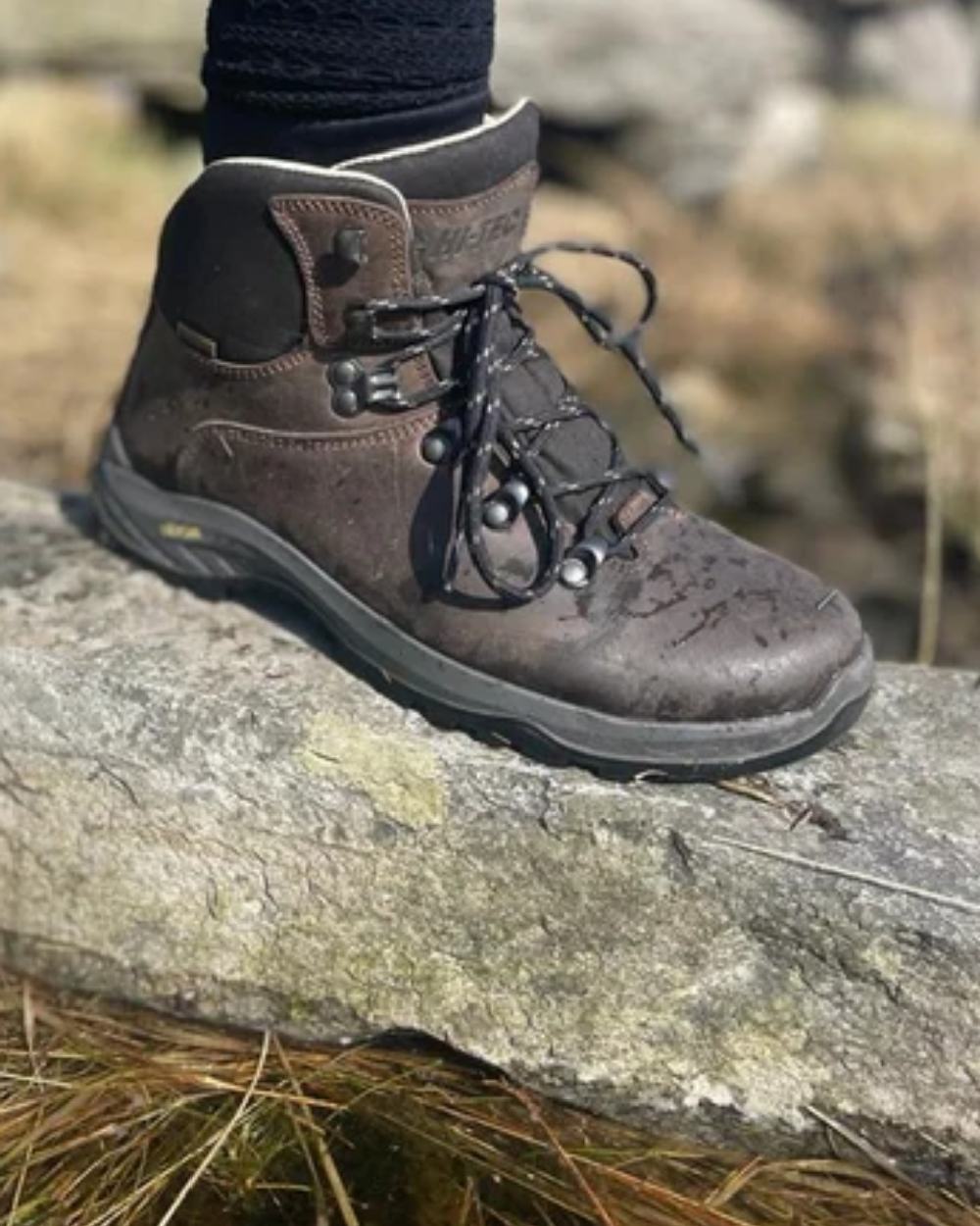 Brown Coloured Hi-Tec Mens Ravine Pro Boots On A Trail Background