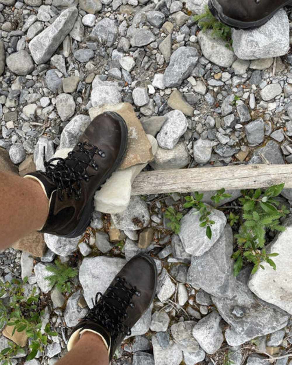 Brown Coloured Hi-Tec Mens Ravine Pro Boots On A Trail Background