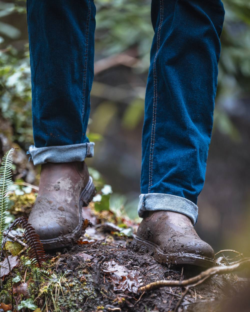 Dark Brown Coloured Hoggs of Fife Dalmeny Dealer Boots On A forest Background 