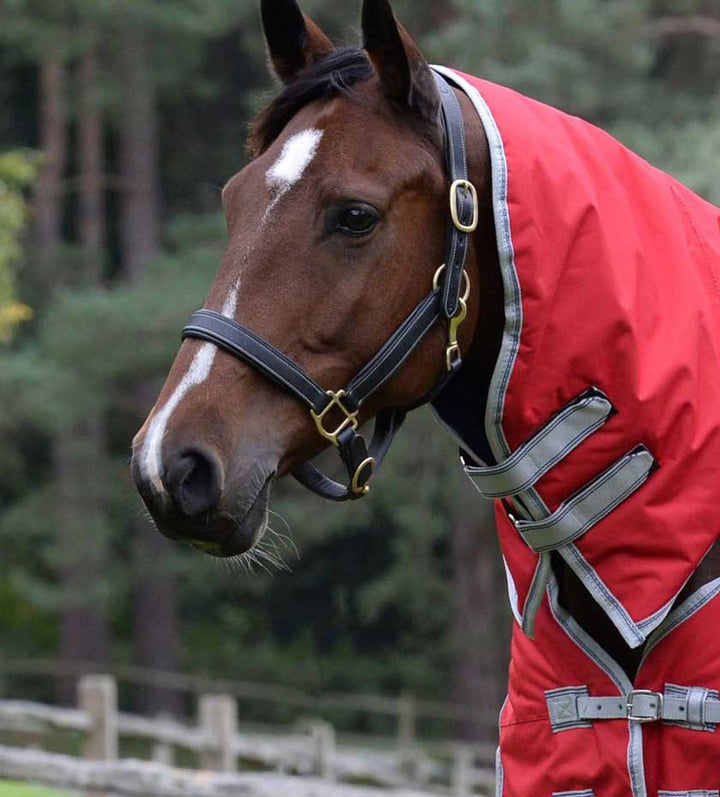 Hollands Country Clothing The Best Country Clothing Store