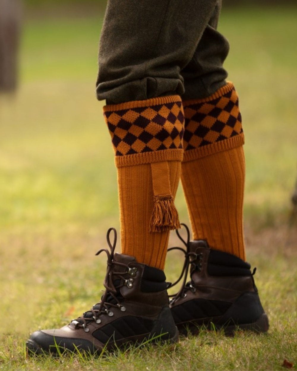 Ochre Coloured House of Cheviot Chessboard Socks On A Field Background 