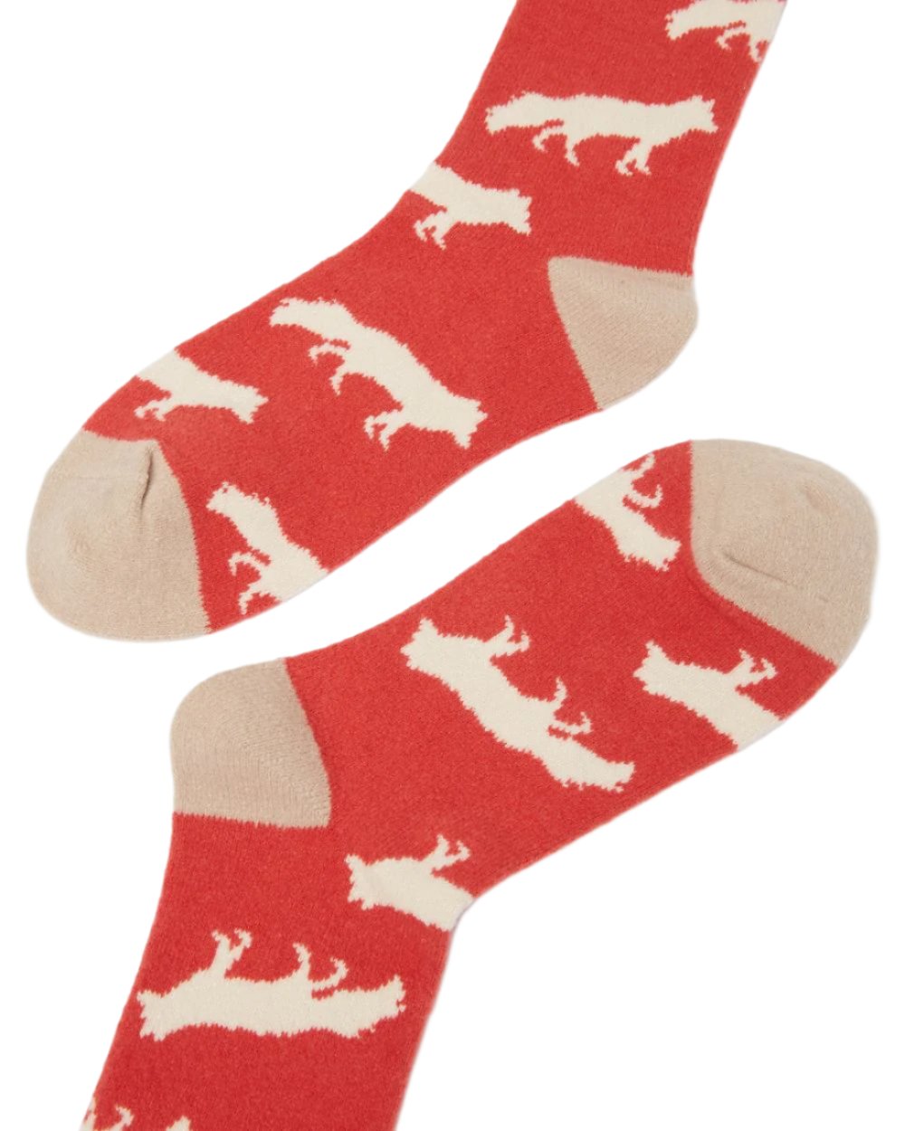 Fox Coloured Joules Amble Icon Socks On A White Background 