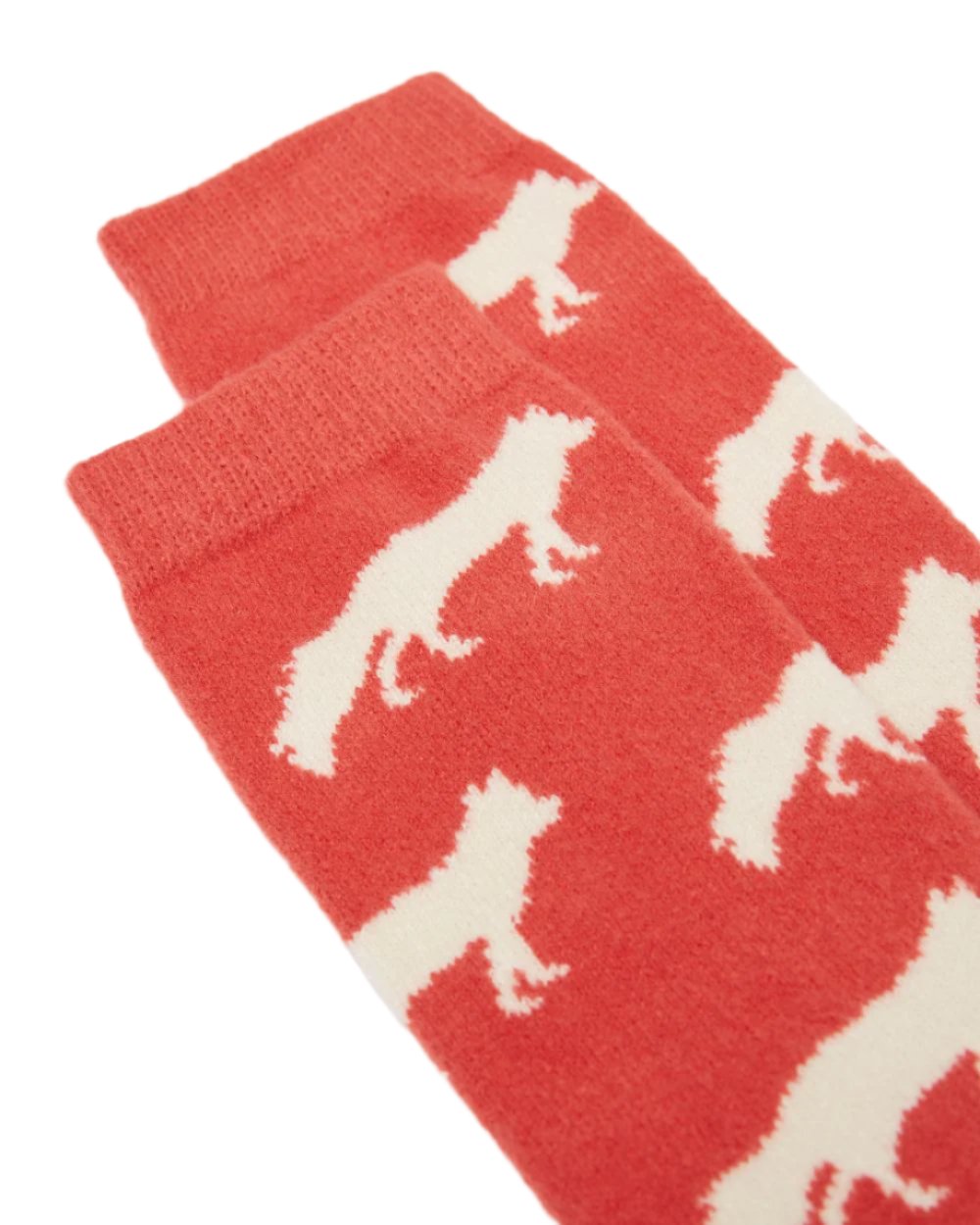 Fox Coloured Joules Amble Icon Socks On A White Background 