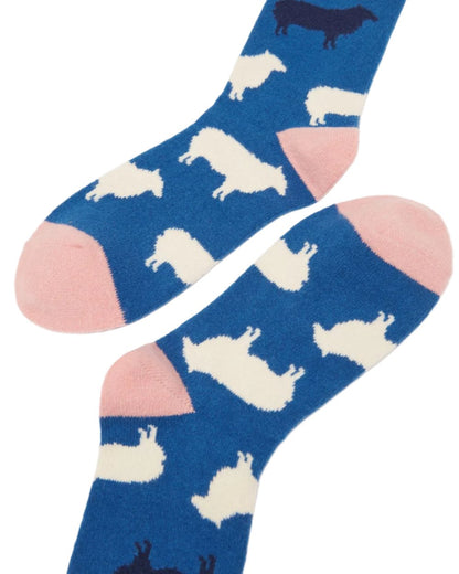 Sheep Coloured Joules Amble Icon Socks On A White Background 