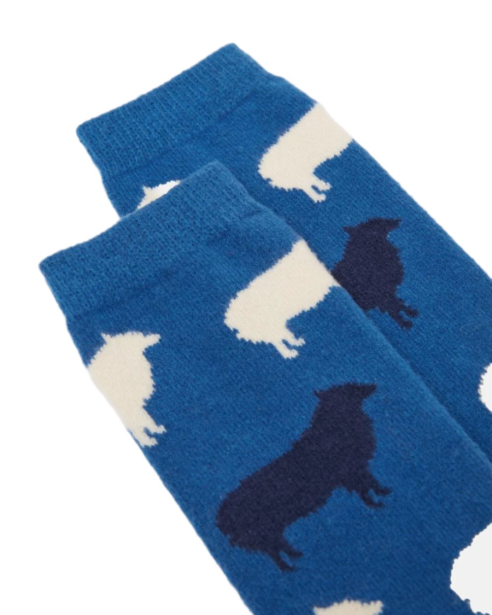 Sheep Coloured Joules Amble Icon Socks On A White Background 