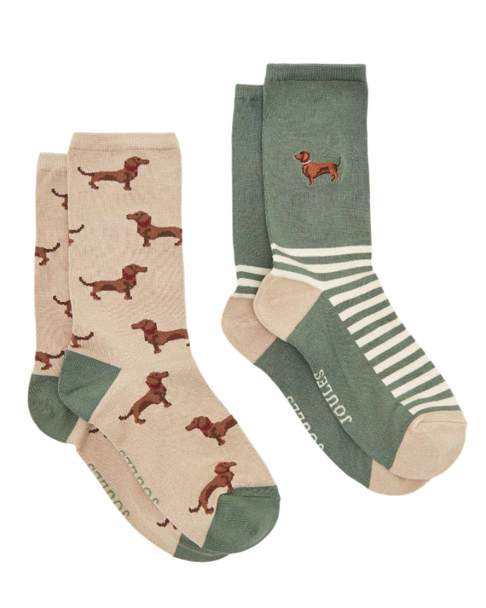 Green Dog Coloured Joules Everyday 2 Pack Socks On A White Background 