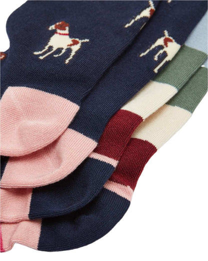 Navy Patch Coloured Joules Everyday 2 Pack Socks On A White Background 