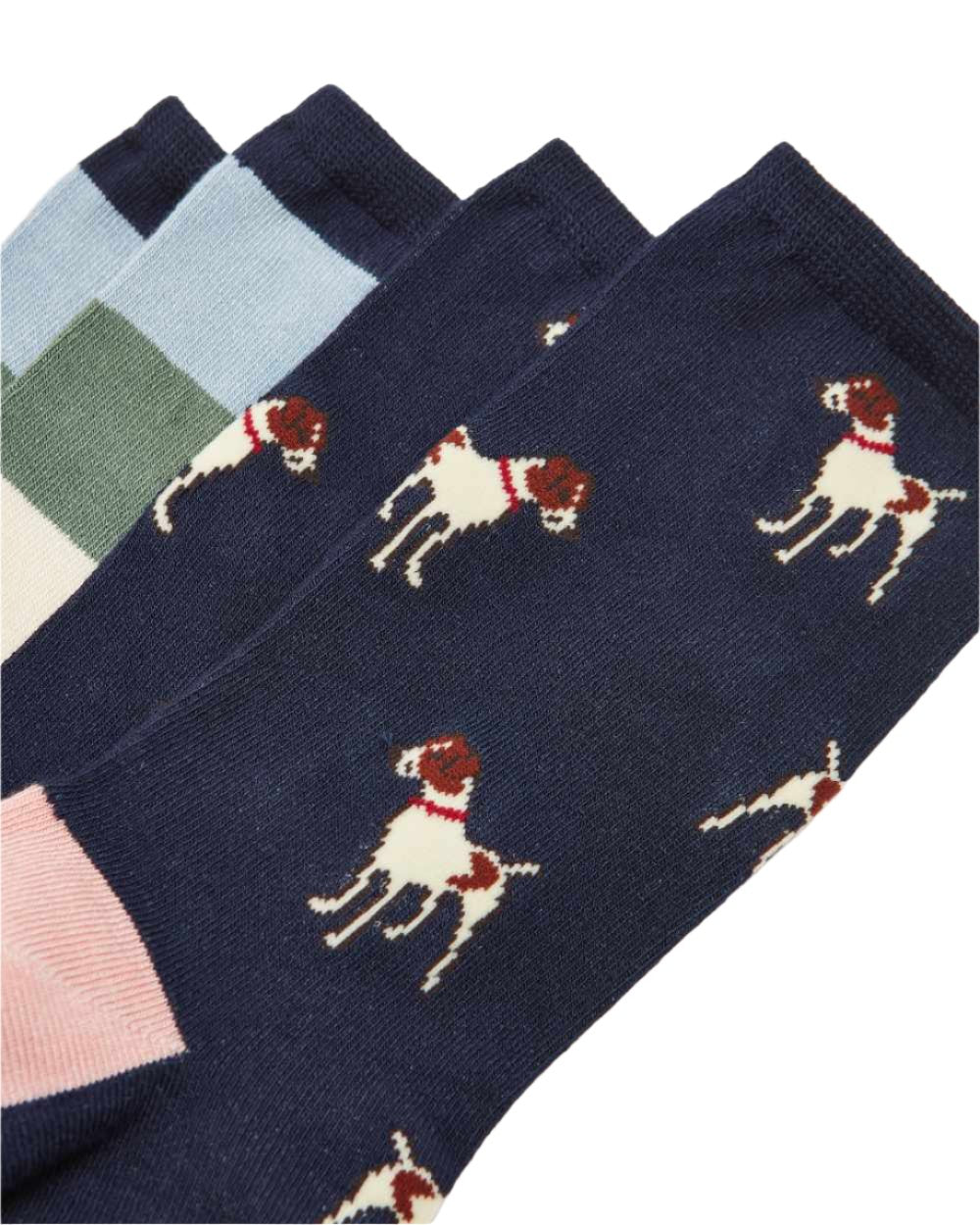 Navy Patch Coloured Joules Everyday 2 Pack Socks On A White Background 