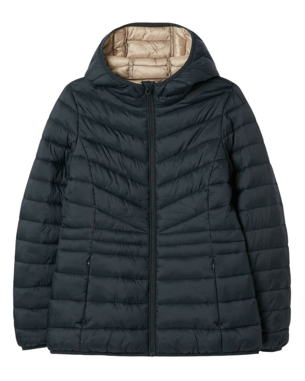 Navy Coloured Joules Kenley Showerproof Padded Coat with Hood On A White Background