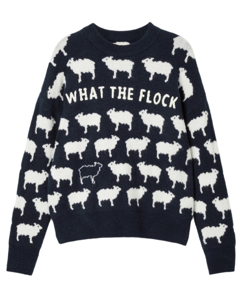 Navy Coloured Joules What The Flock Sweatshirt On A White Background 