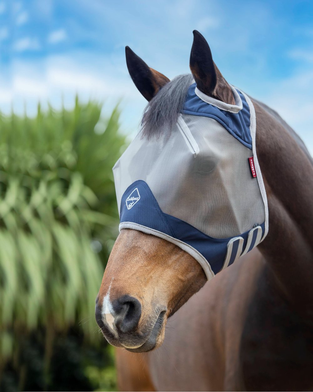 Navy coloured LeMieux ArmourShield Pro Standard Fly Mask on sky background 