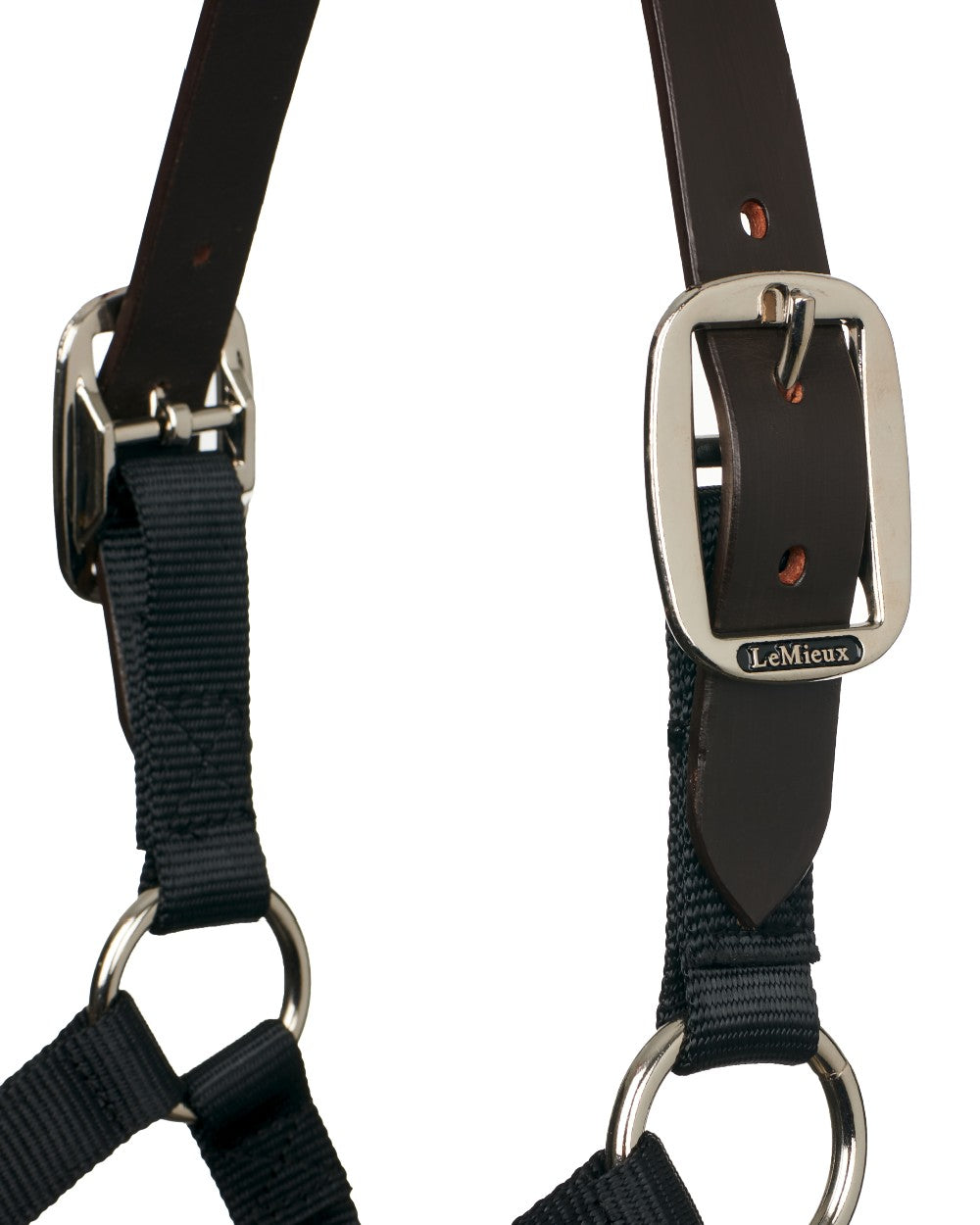 Black coloured LeMieux Break Away Headcollar on white background 