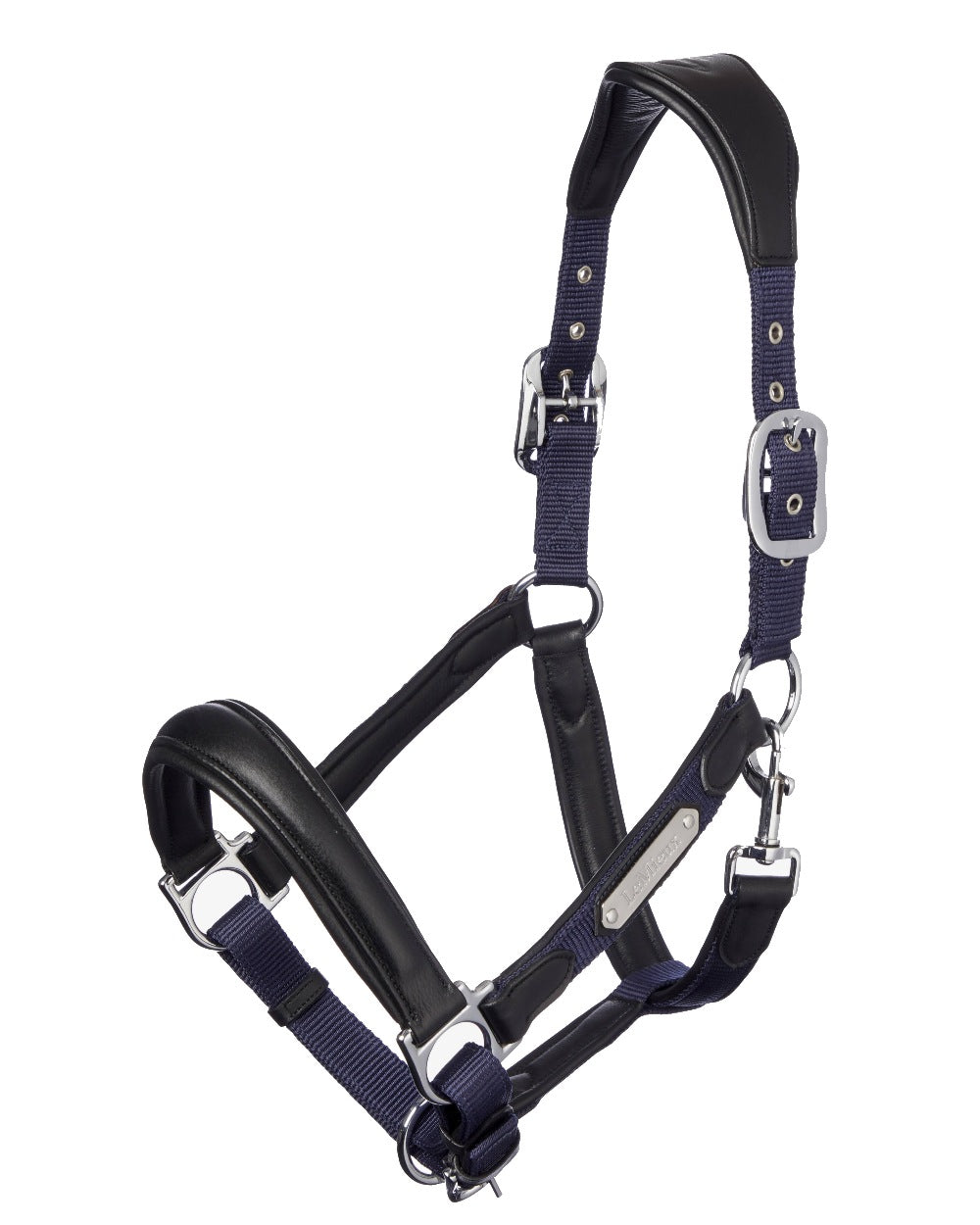 Navy coloured LeMieux Capella Headcollar on white background 